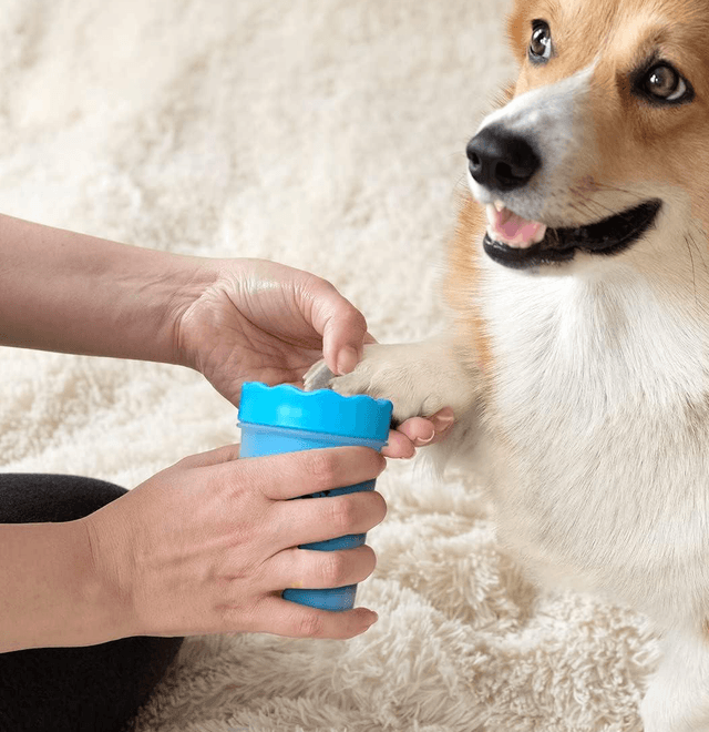 Cleaning Hassle